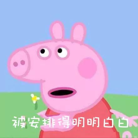 致富经餐饮牛蹄_致富经猪蹄视频_cctv7致富经猪蹄