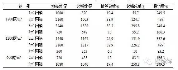 泥鳅小体积网箱养殖技术探索