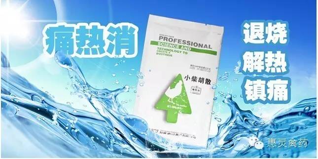 散养土鸡养殖技术大全_四川散养土鸡什么品种好_四川散养土鸡养殖技术