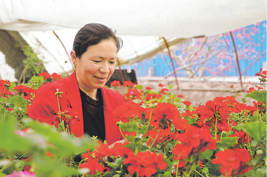 “致富花”开红似火 “美丽”经济踏歌来——喀什地区以花为媒打造文旅融合新亮点