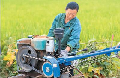 吉安养蛇 致富经_江西吉安养蛇基地_致富吉安养蛇视频