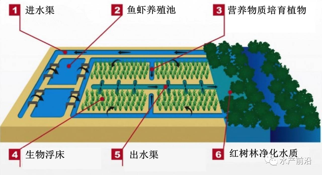 养殖环保技术有哪些_最环保的养殖技术_养殖环保设备有哪些