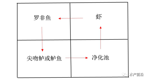 最环保的养殖技术_养殖环保设备有哪些_养殖环保技术有哪些