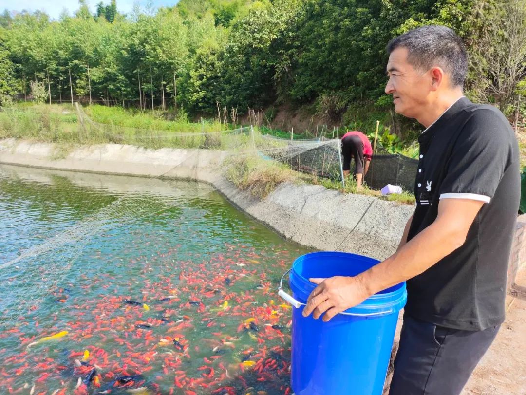 养殖鱼苗赚钱吗_养殖致富鱼苗_致富养殖鱼苗怎么样