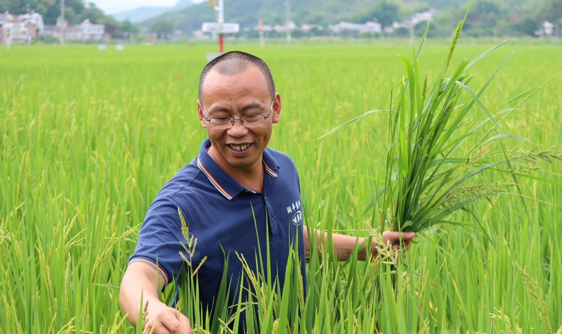 农民致富种植项目_致富户种植帮助措施_帮助种植户致富