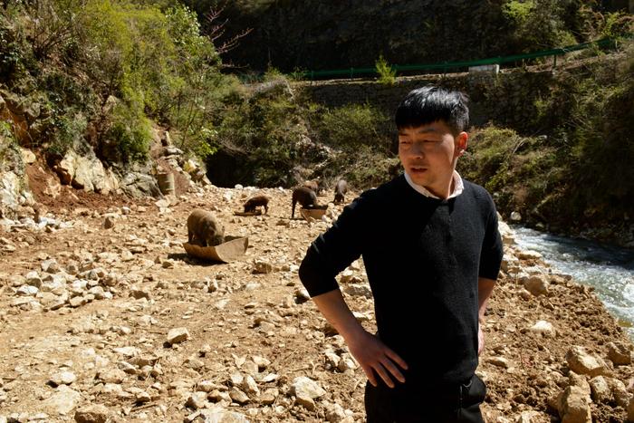 致富经野猪养殖视频_致富经养野猪跟土猪_养殖野猪赚钱吗