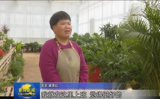 粮食种植利润_种粮食大户_粮食种植致富吗