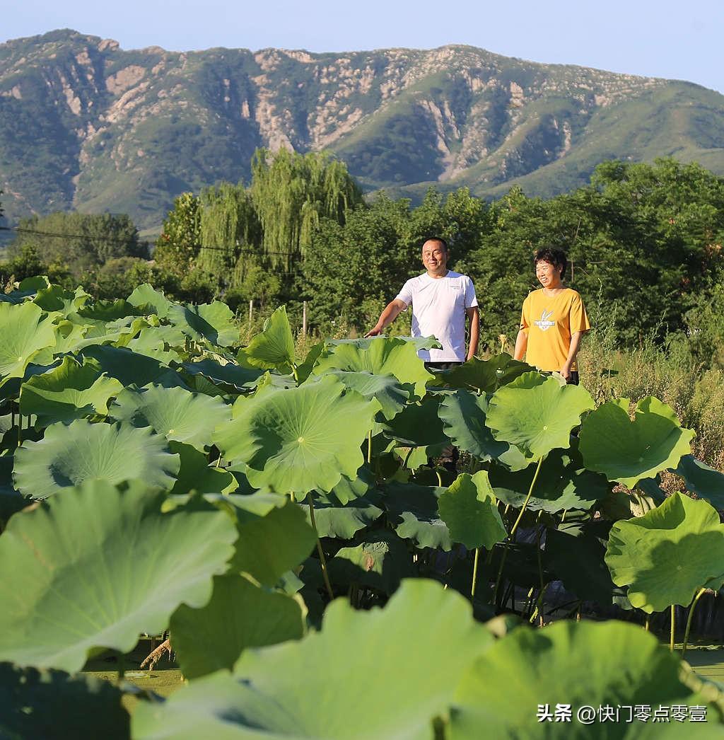 致富经草鱼_致富经草鱼养殖视频_草鱼致富经