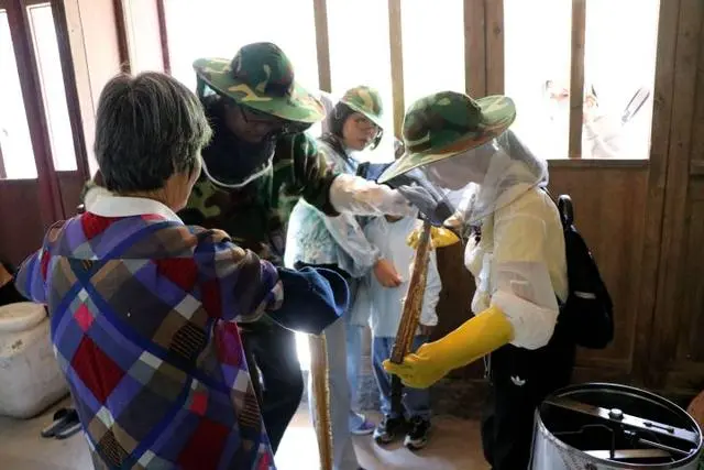 养蜂视频大全_蜂农养蜂视频_野蜂养殖技术视频