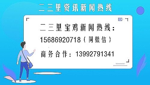 党参种植技术及亩量_种植党参的药效怎么样_党参种植亩产量及效益