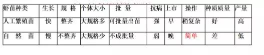 养殖高产田螺技术要点_养殖高产田螺技术要求_田螺高产养殖技术