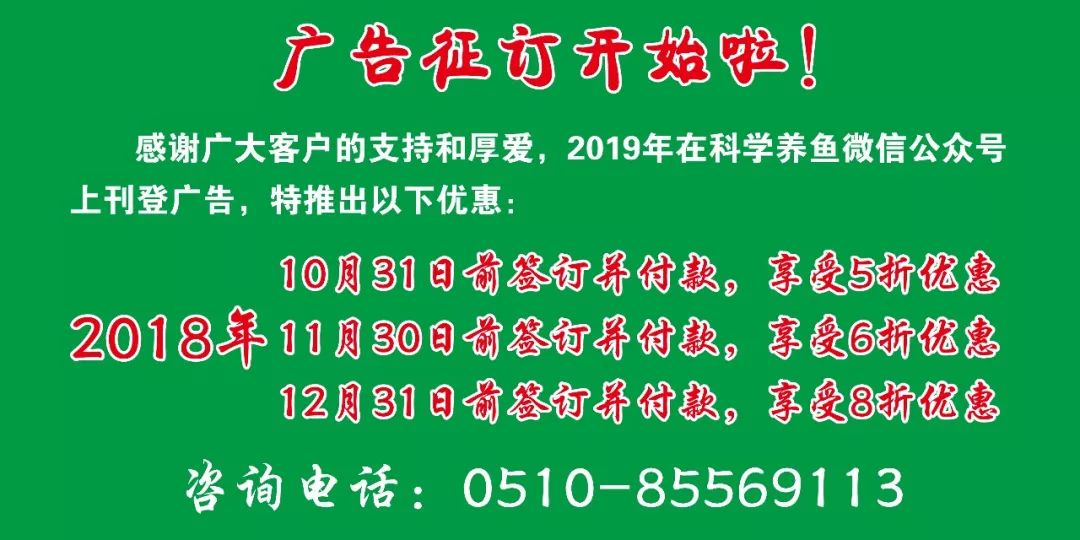 田螺高产养殖及其专用饲料_田螺高产养殖技术_怎样养殖田螺高产