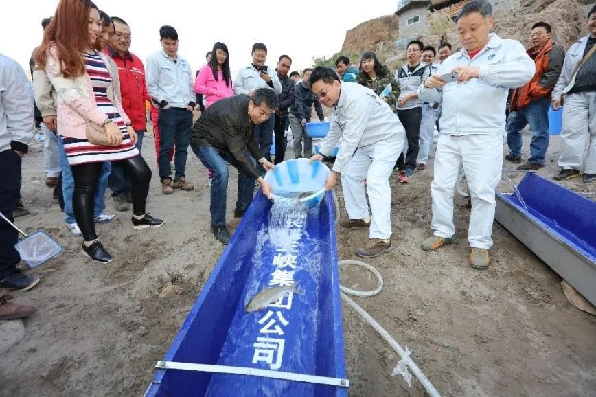 水库养殖技术视频_水库养鱼技术_水库的养殖技术