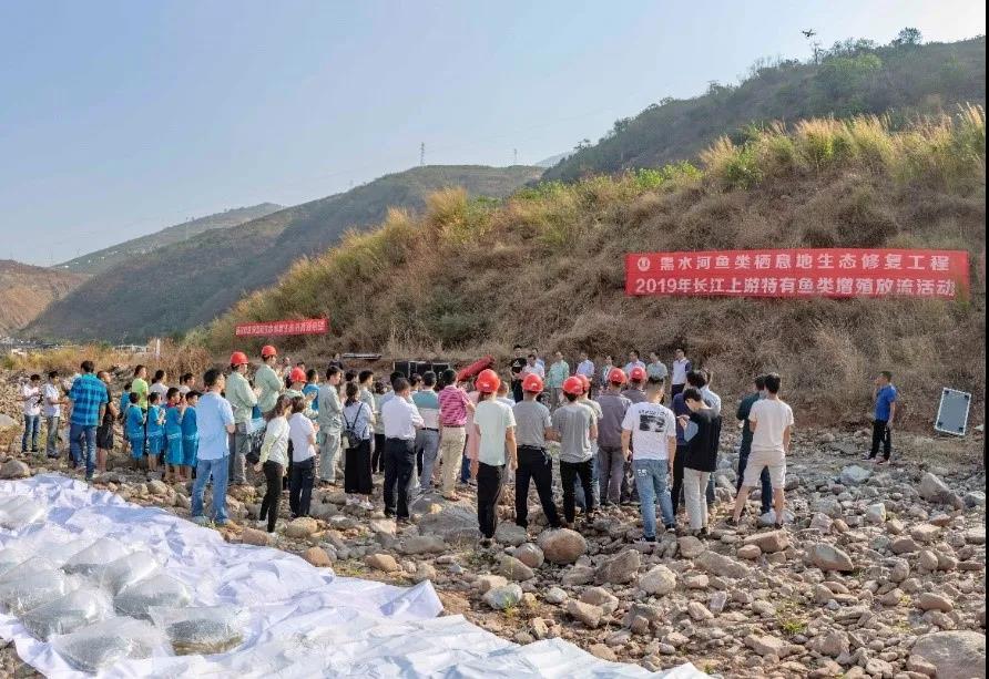 水库养殖技术视频_水库养鱼技术_水库的养殖技术