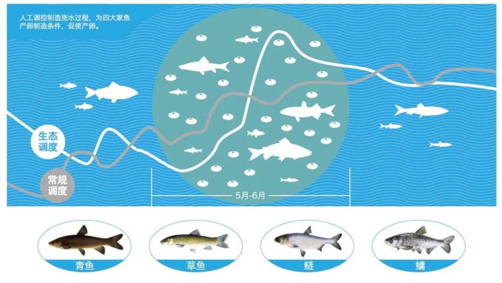 水库养殖技术视频_水库养鱼技术_水库的养殖技术