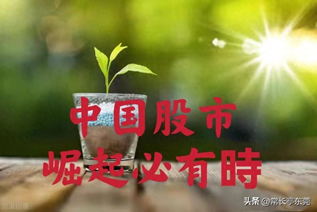 常长亭：前瞻瞄准布局战略基本面优质股