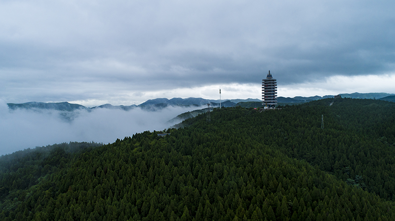 我国大力发展森林旅游助百姓致富