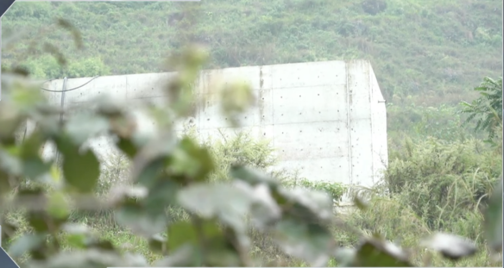 致富种植口蘑怎么样_种植口蘑亩利润_口蘑种植致富