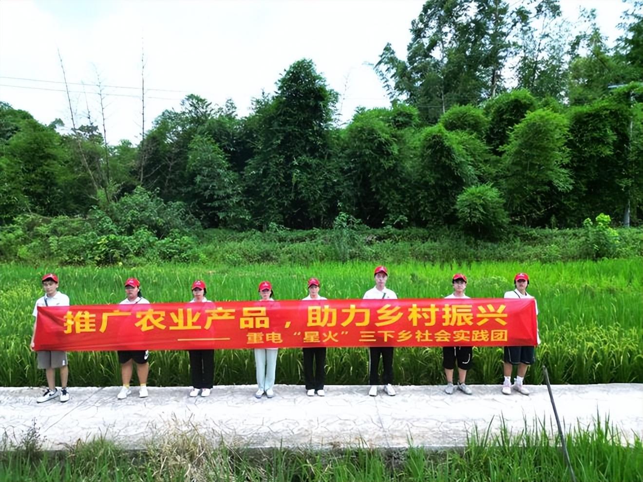 致富笋种植视频_笋笋的种植技术视频_竹笋致富经