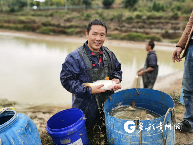 锦屏联社：助力水产养殖 推动农户致富