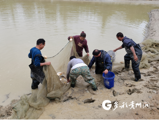 水产养殖设备生产厂家_水产养殖致富设备_致富养殖水产设备有哪些