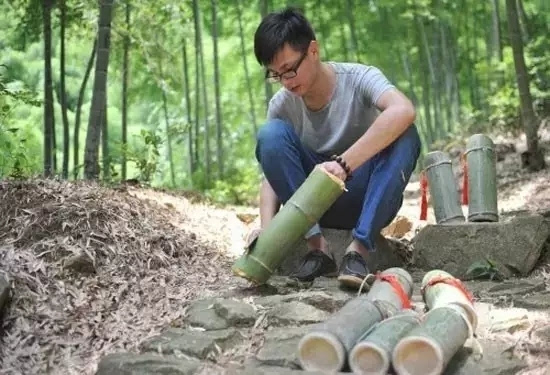 种竹子的视频_竹子种植技术视频_致富竹子种植视频