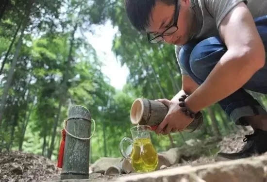 种竹子的视频_致富竹子种植视频_竹子种植技术视频