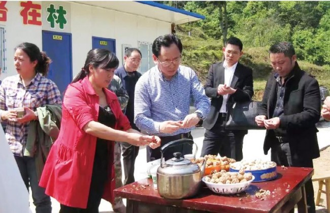 种植核桃致富视频_核桃种植收益怎么样_种核桃的视频