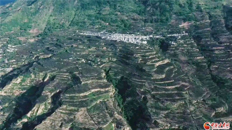 致富经 花椒_花椒种植致富带头人先进事迹_花椒致富路