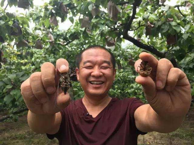 金蚕丝雨剧情介绍