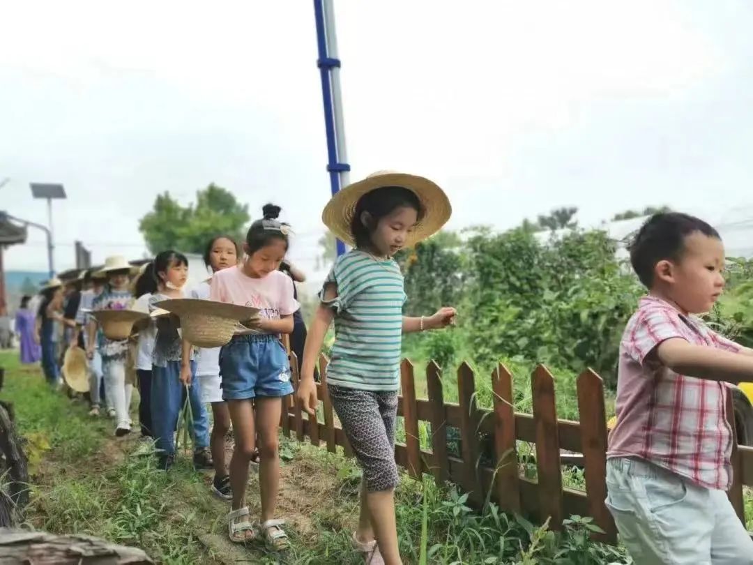 致富种植葡萄农村视频_农村种植葡萄致富_致富种植葡萄农村有补贴吗