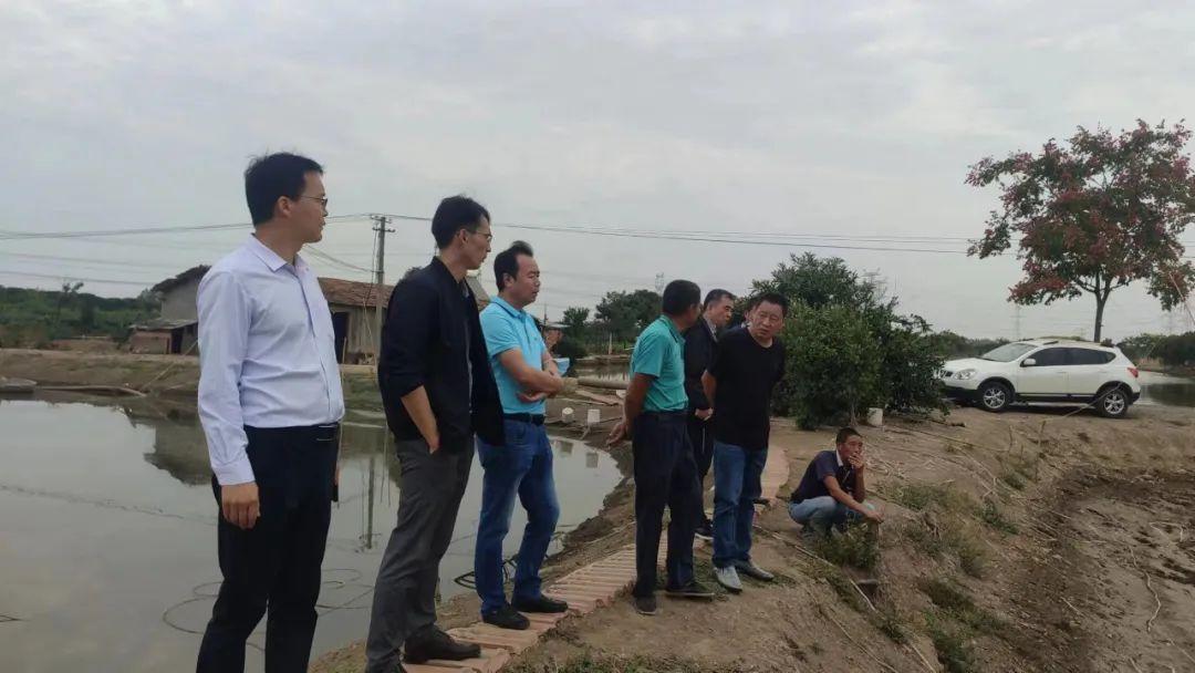 武汉水产养殖技术 v_武汉水产养殖培训基地_武汉水产养殖基地