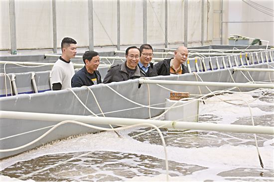 阳江市阳东区：科技驱动生产力变革 水产养殖迎发展春天