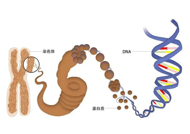 大航海之路阅读经验_优质回答的经验之路_天津肿瘤优质护理经验汇报