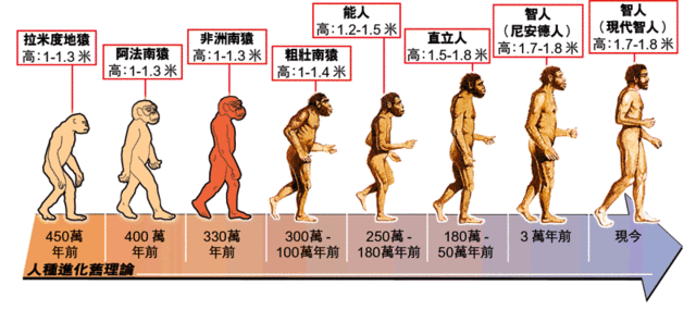 大航海之路阅读经验_优质回答的经验之路_天津肿瘤优质护理经验汇报