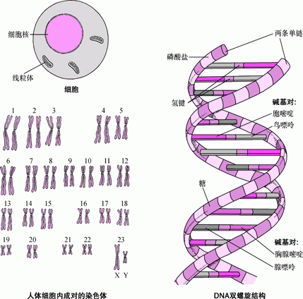 天津肿瘤优质护理经验汇报_优质回答的经验之路_大航海之路阅读经验