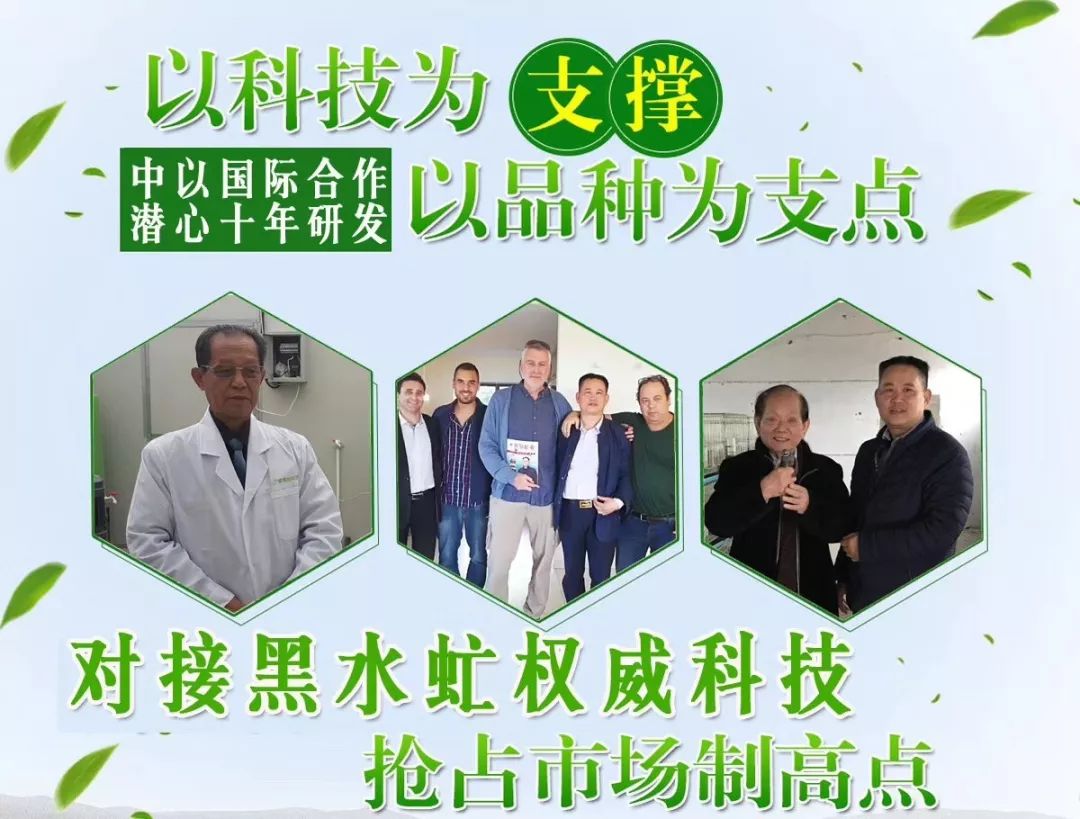 梅州土鸡养殖致富_梅州养鸡场_致富养殖梅州土鸡视频