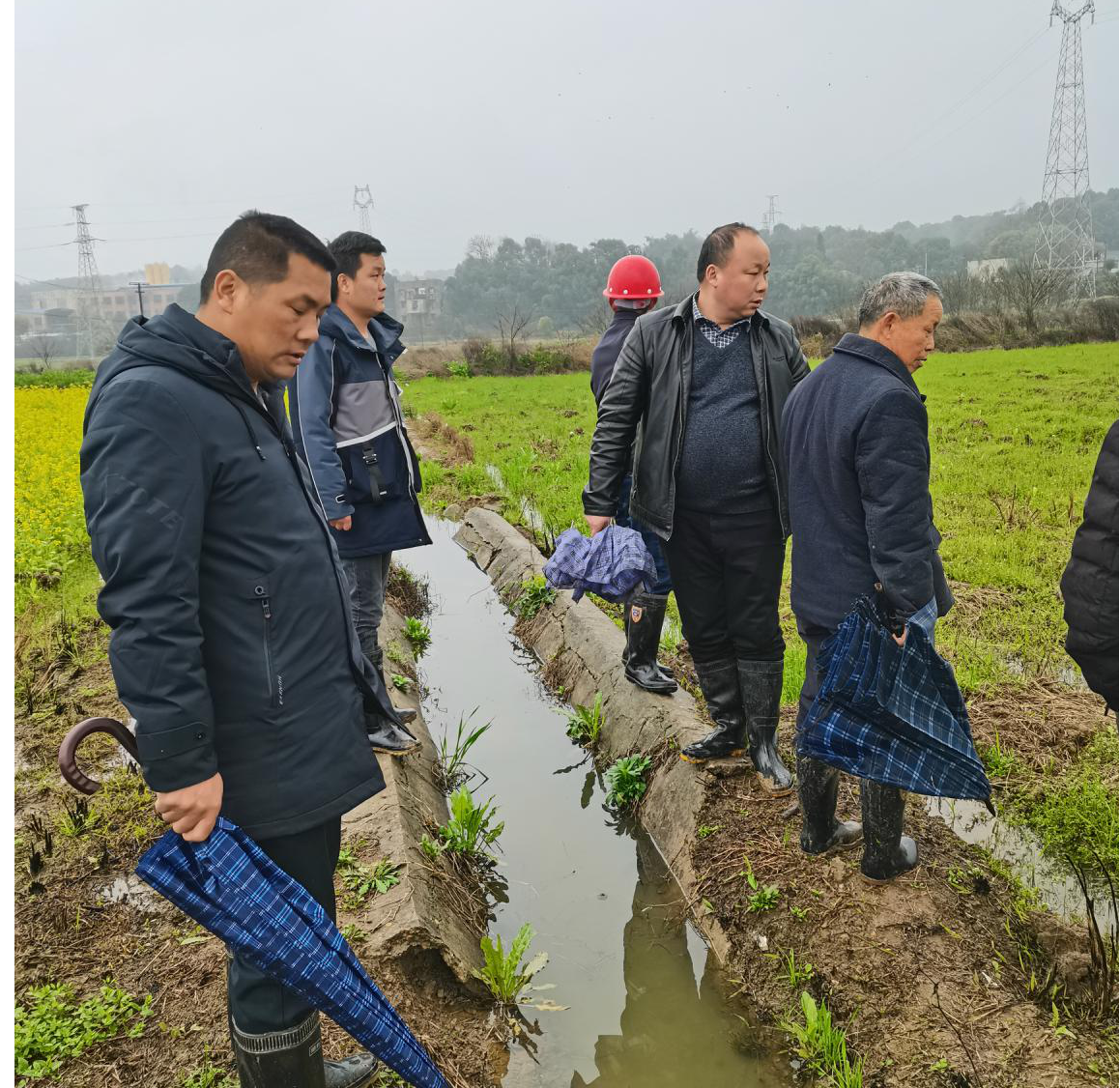 双季稻栽培技术规程_双季稻种植技术_种植技术双季稻的优缺点