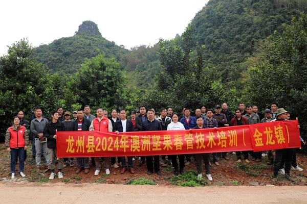 农民致富种植项目_致富经种树的创业项目_农民致富经 种植树