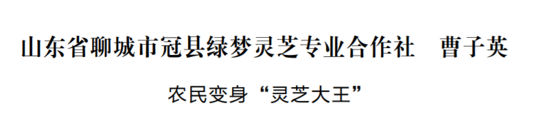 山东省聊城市冠县绿梦灵芝专业合作社 曹子英：农民变身 “灵芝大王”