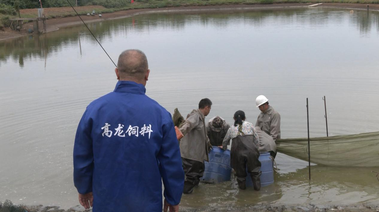 水养殖致富项目_养殖致富网500元投资_致富养殖业