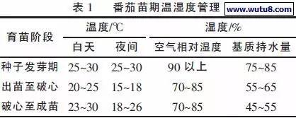 温室西红柿管理新技术_温室西红柿高产栽培技术_温室西红柿种植技术视频