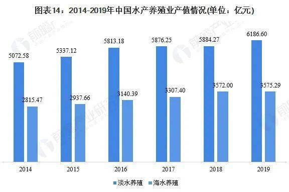 水养殖致富项目_养殖致富网500元投资_致富养殖业