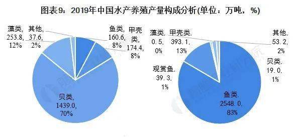 养殖致富网500元投资_致富养殖业_水养殖致富项目