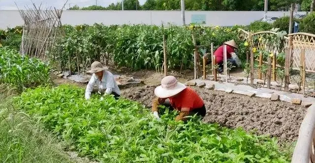 致富经黄炳权_怎样致富致富_黄有兵致富经