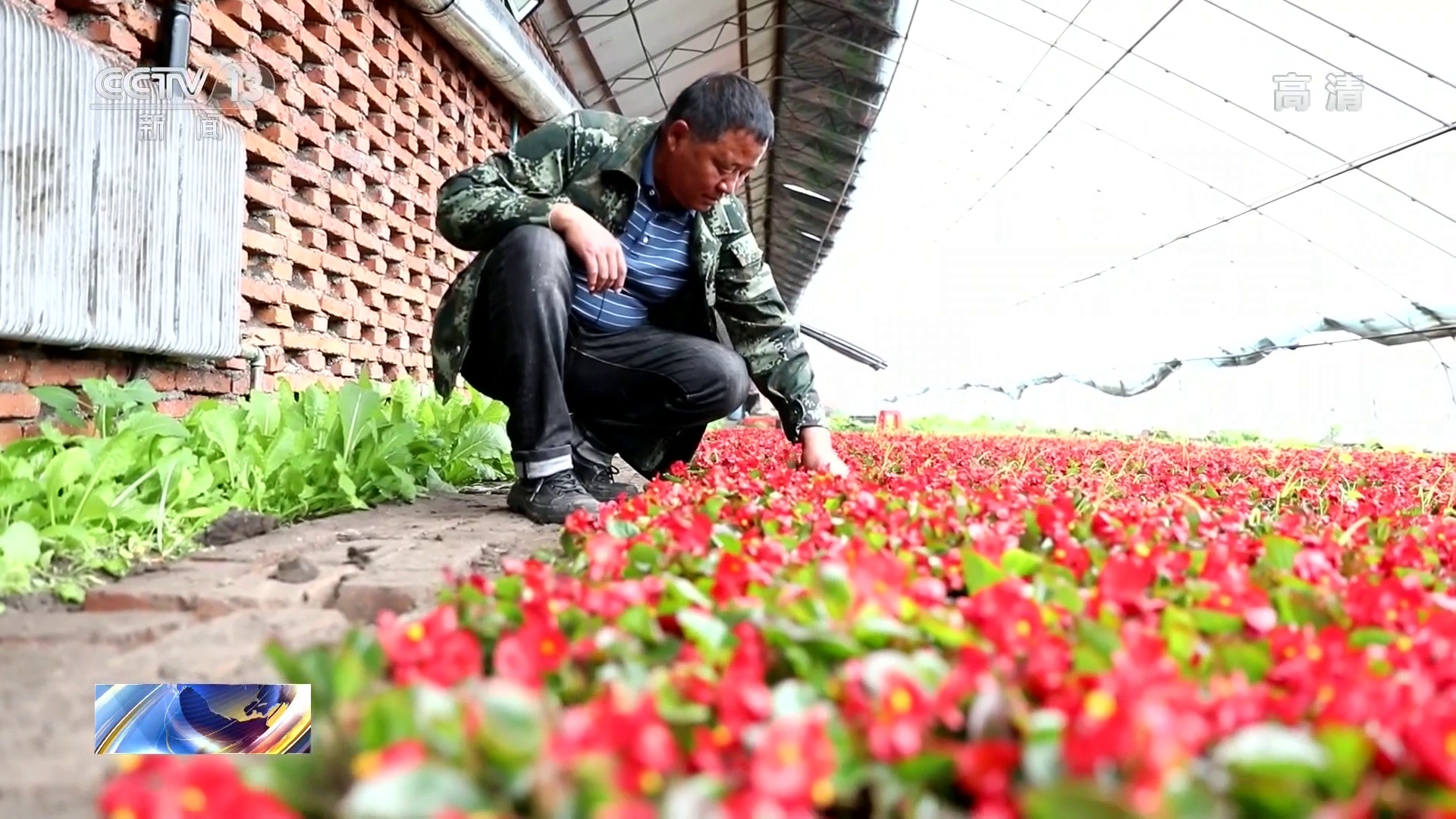 鲜花批发找货源_种植鲜花批发致富_做鲜花批发