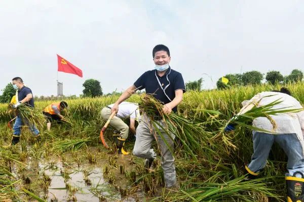 致富网养殖业_武汉致富团养殖专业合作社_养殖专业合作社简介