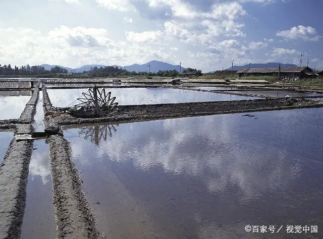 海螺吃食物视频_致富经 海螺进食_致富进食海螺图片