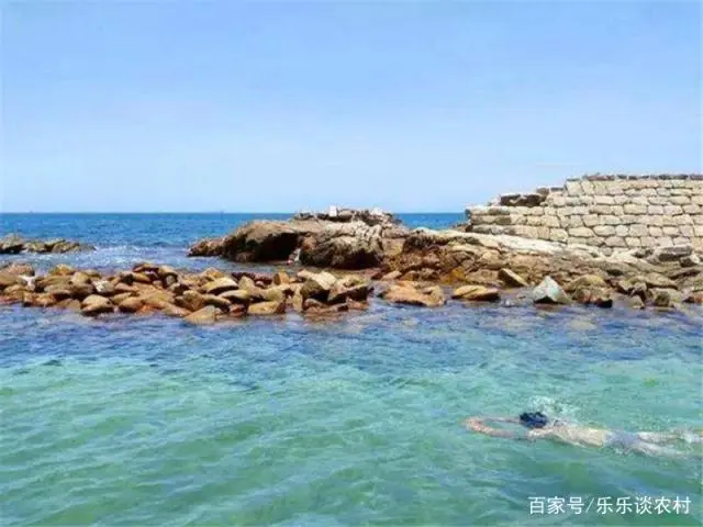 海螺吃食物视频_致富经 海螺进食_致富进食海螺图片