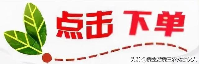 “想发家，种药材”，现在种什么药材能赢利？试试这些品种吧